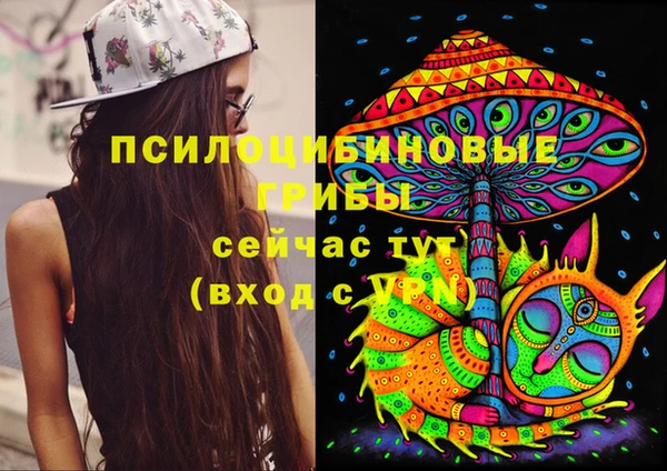 кокс Аркадак