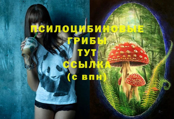 ГАЛЛЮЦИНОГЕННЫЕ ГРИБЫ Армянск