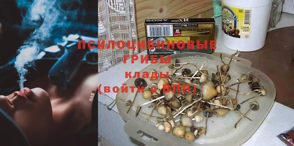 кокс Аркадак