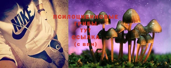 кокс Аркадак