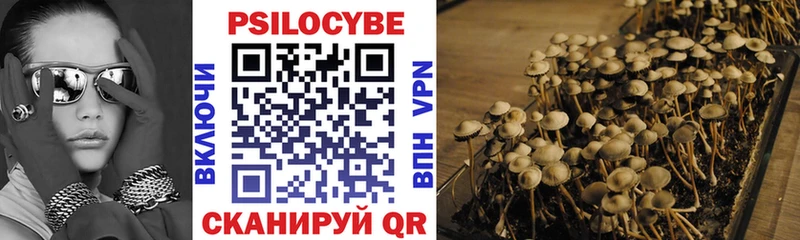 Купить где  Нижний Новгород  Псилоцибиновые грибы Psilocybine cubensis 