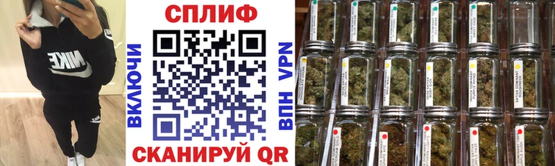 Купить  Нижний Новгород  МАРИХУАНА планчик 
